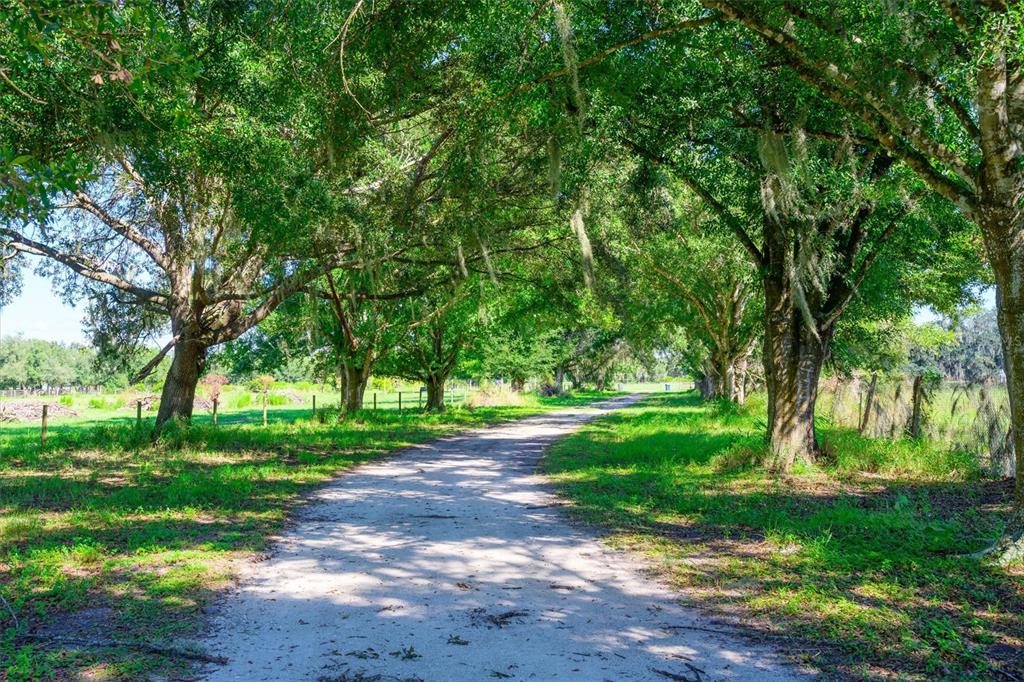 Property for sale at 10650 BRENDLE ROAD, MYAKKA CITY, FL, 34251