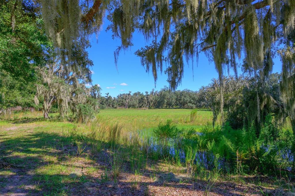 Property for sale at 10650 BRENDLE ROAD, MYAKKA CITY, FL, 34251