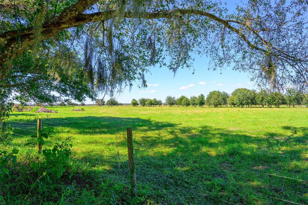 Property for sale at 10650 BRENDLE ROAD, MYAKKA CITY, FL, 34251