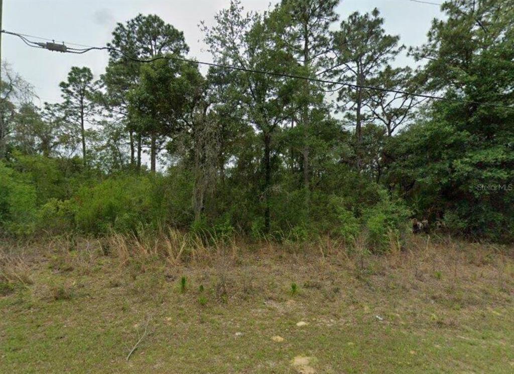 Property for sale at 2338 W RILEY DRIVE, CITRUS SPRINGS, FL, 34434