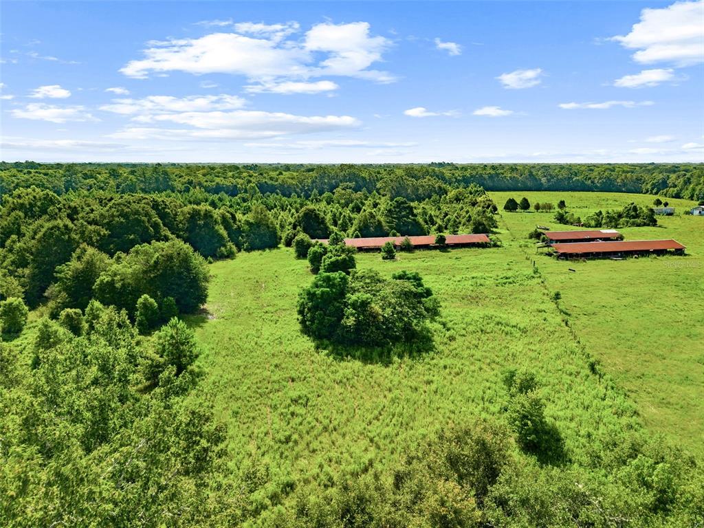 Property for sale at 2853 R M WARD ROAD, PONCE DE LEON, FL, 32455