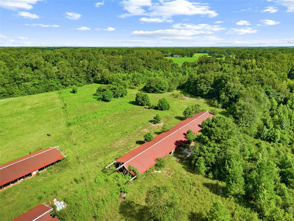 Property for sale at 2853 R M WARD ROAD, PONCE DE LEON, FL, 32455