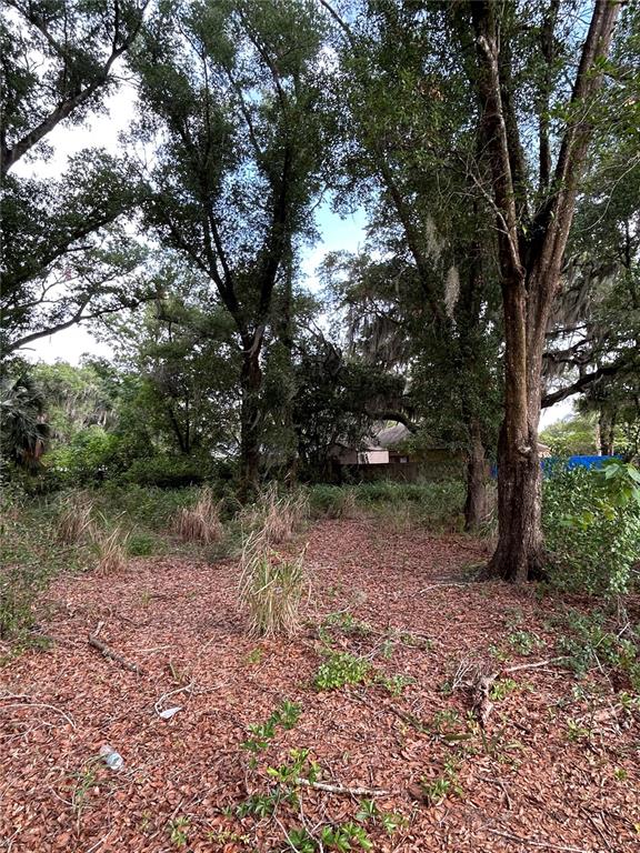 Property for sale at PALMETTO STREET, EUSTIS, FL, 32726