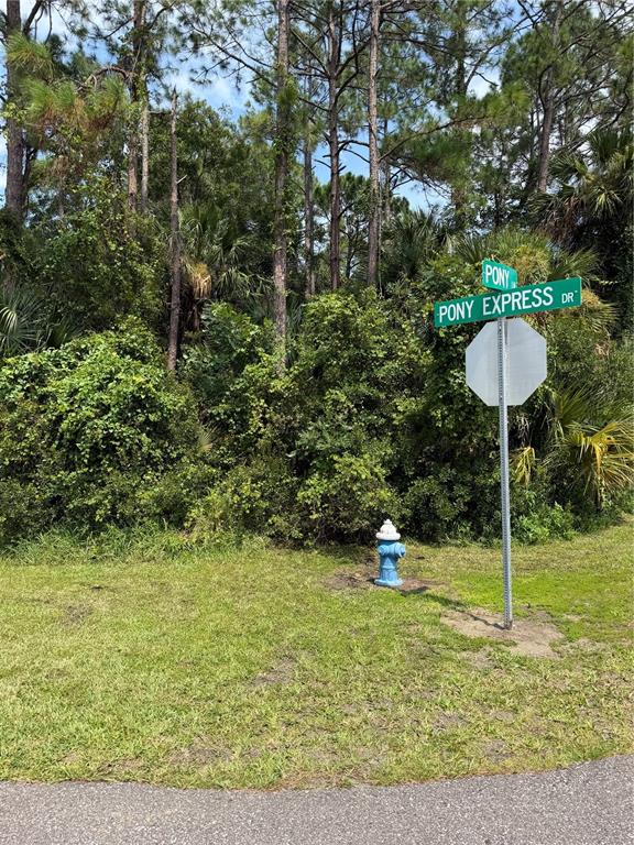 Property for sale at 30 PONY EXPRESS DRIVE, PALM COAST, FL, 32164