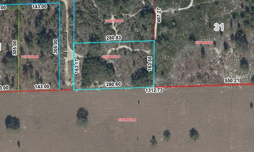 Property for sale at TBD NE 123RD AVE, WILLISTON, FL, 32696