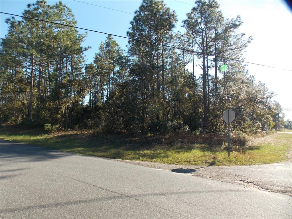 Property for sale at 9432 N CHERRY LAKE DRIVE, CITRUS SPRINGS, FL, 34433