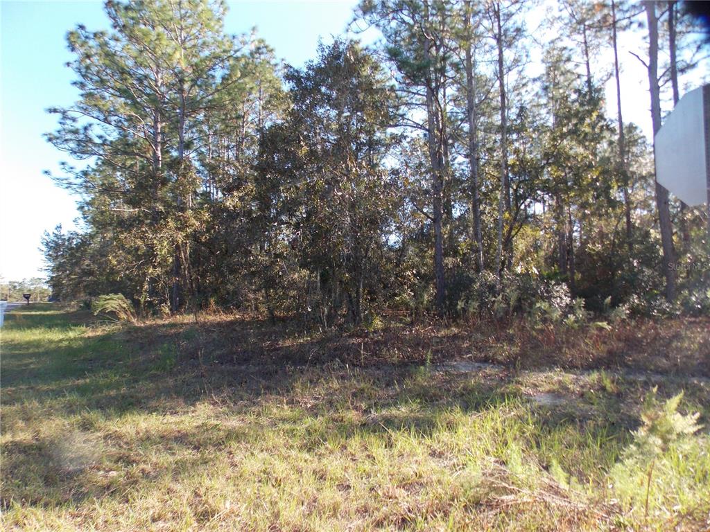 Property for sale at 9432 N CHERRY LAKE DRIVE, CITRUS SPRINGS, FL, 34433