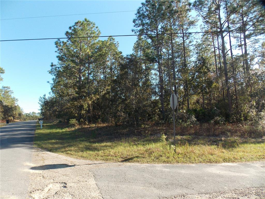 Property for sale at 9432 N CHERRY LAKE DRIVE, CITRUS SPRINGS, FL, 34433