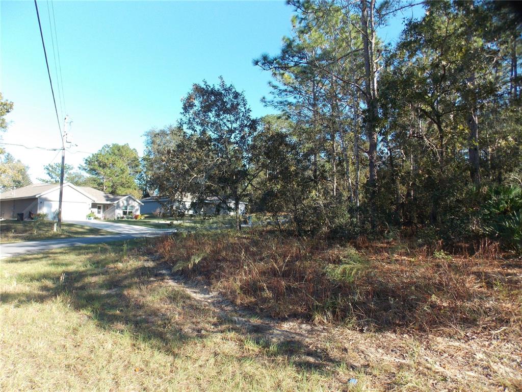 Property for sale at 9432 N CHERRY LAKE DRIVE, CITRUS SPRINGS, FL, 34433