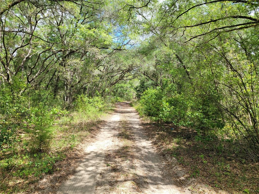 Property for sale at 910 FERNCREEK AVENUE, INVERNESS, FL, 34453