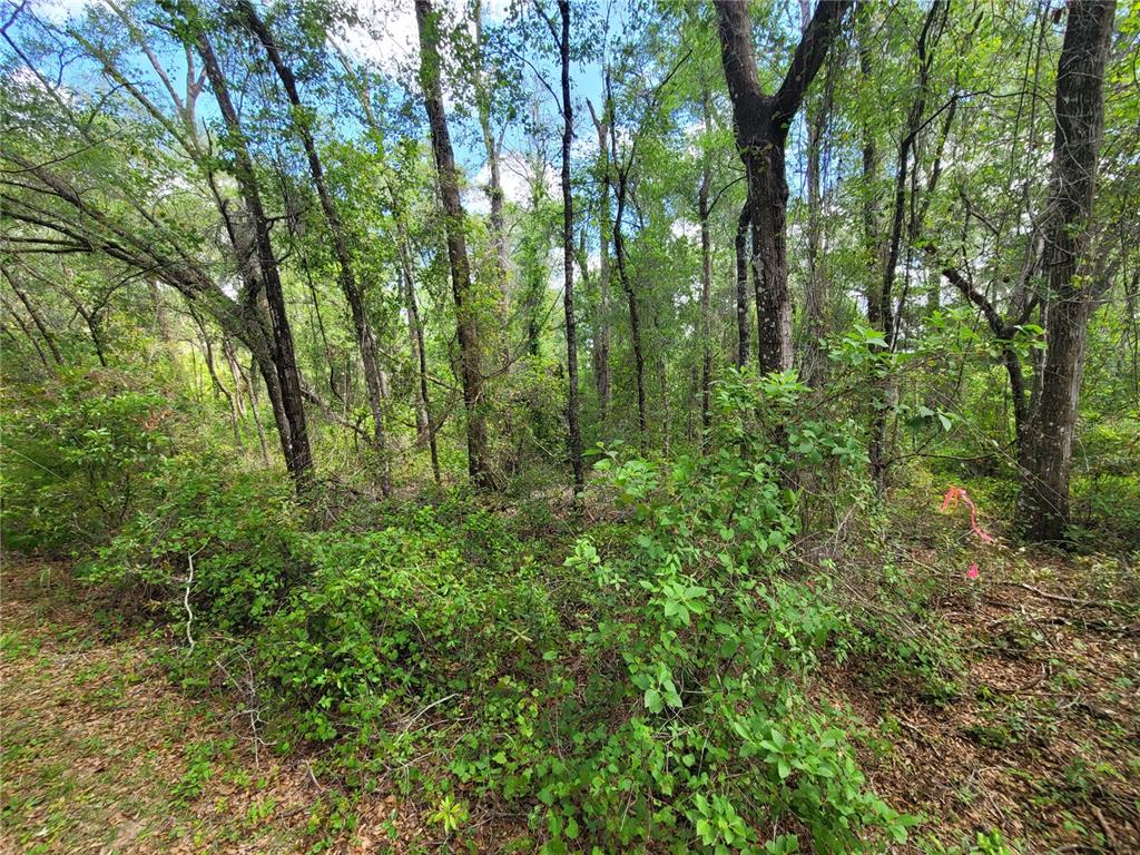 Property for sale at 910 FERNCREEK AVENUE, INVERNESS, FL, 34453