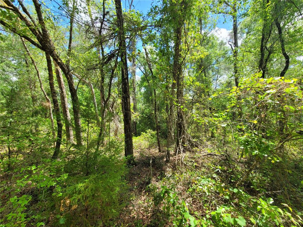 Property for sale at 910 FERNCREEK AVENUE, INVERNESS, FL, 34453