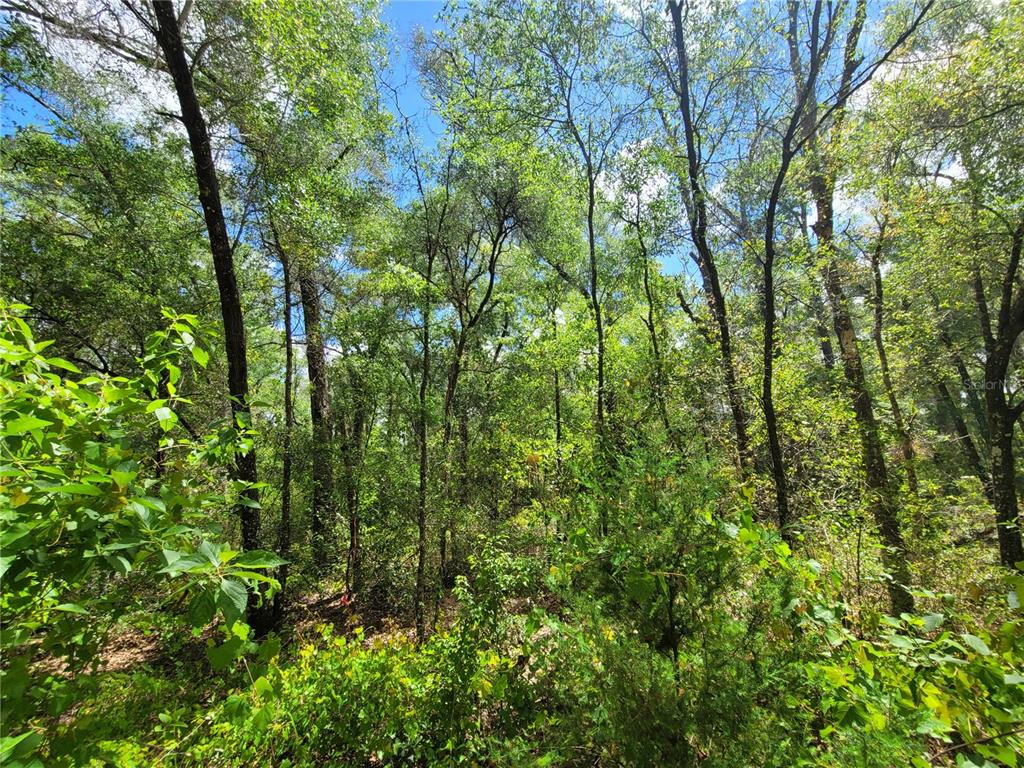 Property for sale at 910 FERNCREEK AVENUE, INVERNESS, FL, 34453