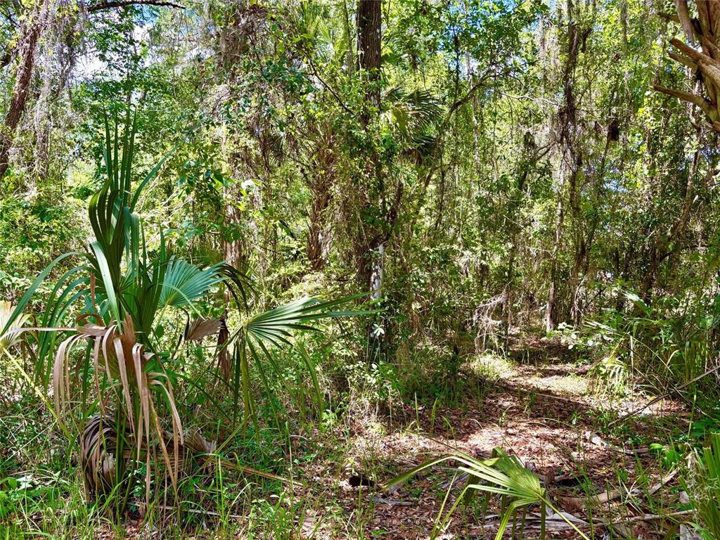 Property for sale at OLD CRYSTAL RIVER ROAD, BROOKSVILLE, FL, 34601