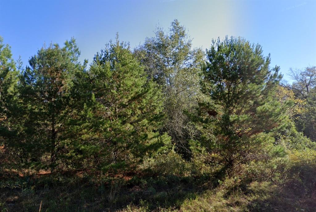 Property for sale at PARKVIEW LOT 13 DRIVE, CHIPLEY, FL, 32428