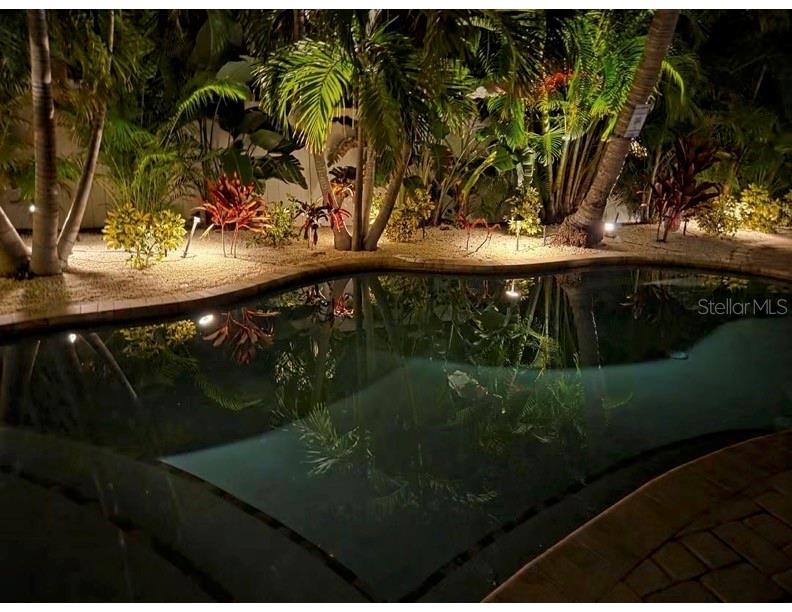 Stunning backyard pool at night, perfect for evening entertaining and relaxation.
