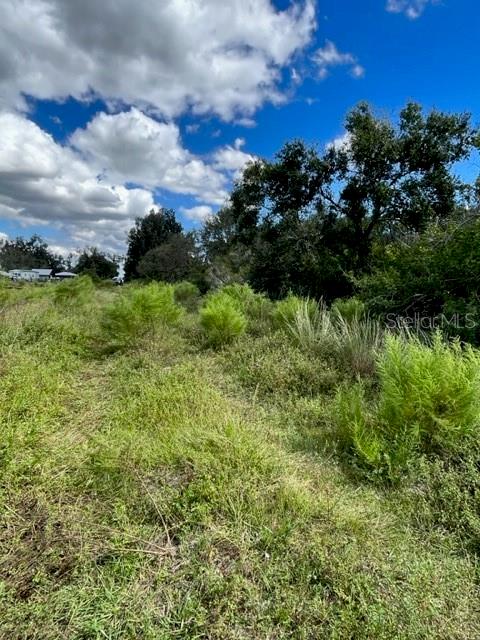 Property for sale at SE TOMLIN #2 DRIVE, ARCADIA, FL, 34266
