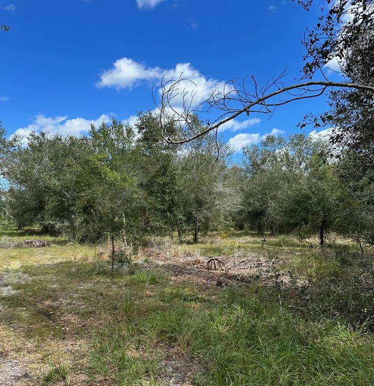 Property for sale at SE TOMLIN #2 DRIVE, ARCADIA, FL, 34266