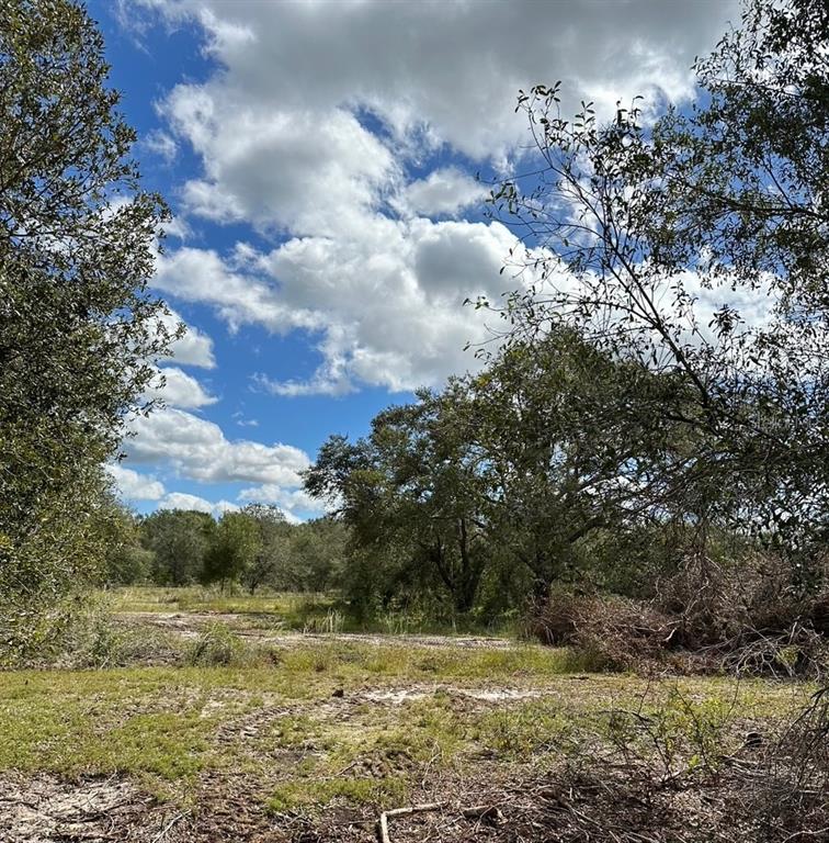 Property for sale at SE TOMLIN #2 DRIVE, ARCADIA, FL, 34266