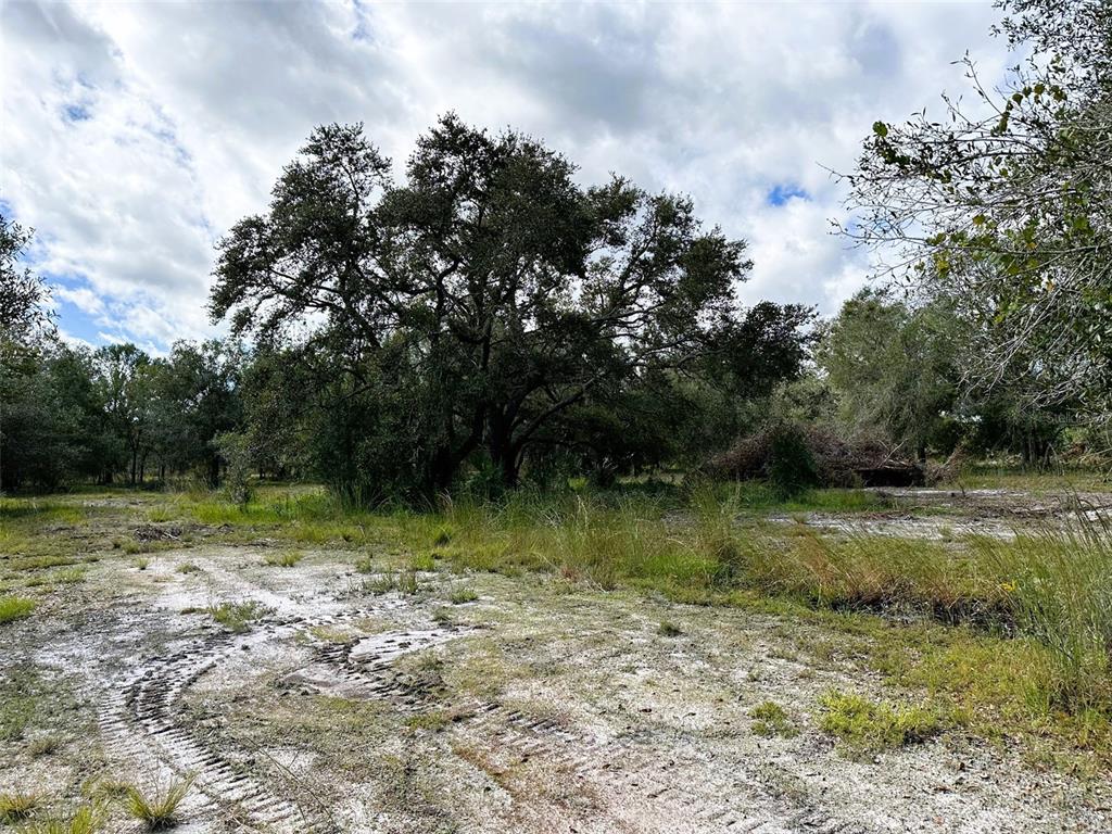 Property for sale at SE TOMLIN #2 DRIVE, ARCADIA, FL, 34266