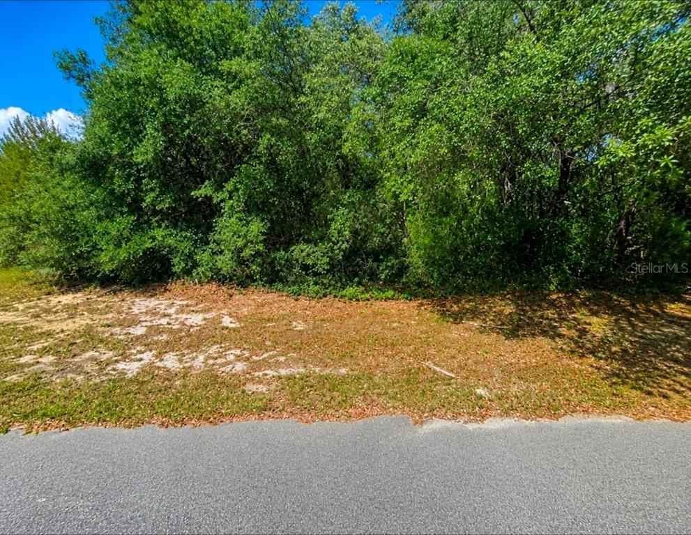 Property for sale at SW 164TH PLACE ROAD, OCALA, FL, 34473