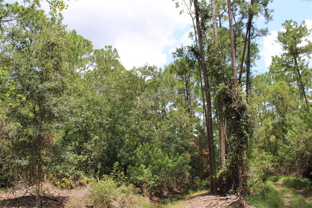 Property for sale at 1217 IRIS AVENUE, SEBRING, FL, 33875