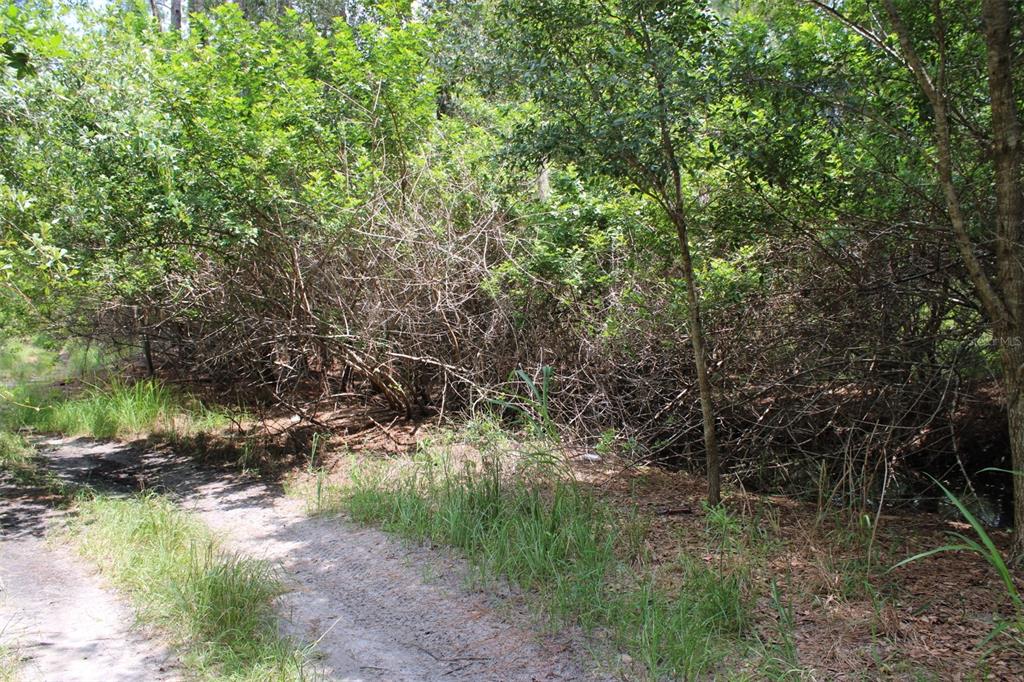 Property for sale at 1217 IRIS AVENUE, SEBRING, FL, 33875