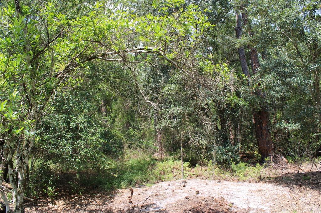 Property for sale at 1217 IRIS AVENUE, SEBRING, FL, 33875