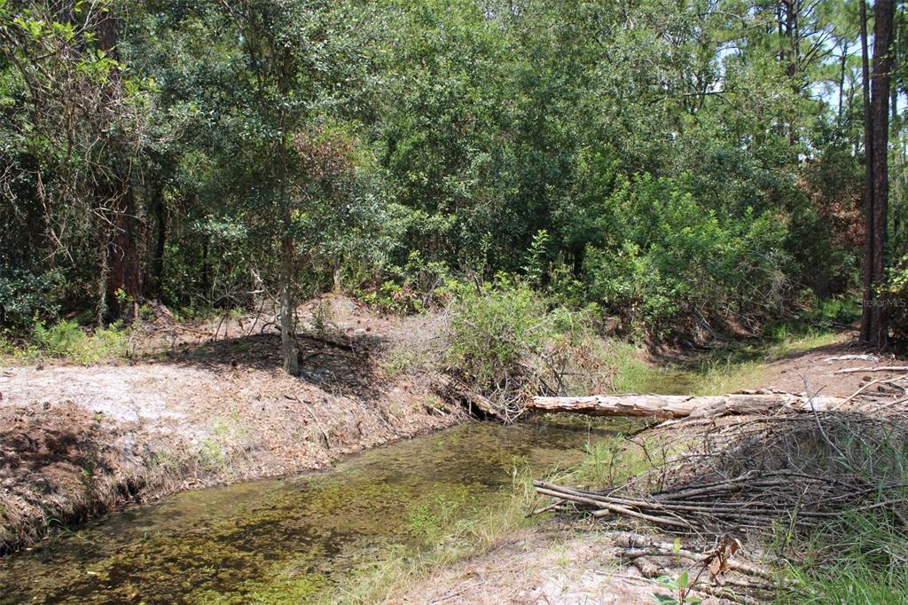Property for sale at 1217 IRIS AVENUE, SEBRING, FL, 33875