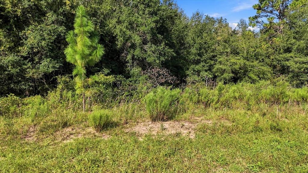 Property for sale at 4324 N WIGWAM TERRACE, BEVERLY HILLS, FL, 34465