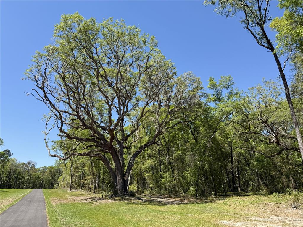 Property for sale at Irvine Acres #5 (13ac) W HWY 318, REDDICK, FL, 32686
