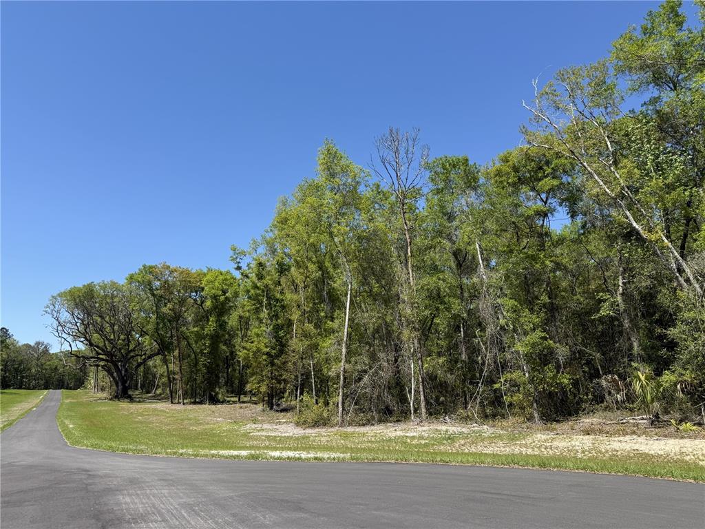 Property for sale at Irvine Acres #5 (13ac) W HWY 318, REDDICK, FL, 32686