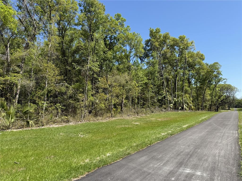 Property for sale at Irvine Acres #5 (13ac) W HWY 318, REDDICK, FL, 32686