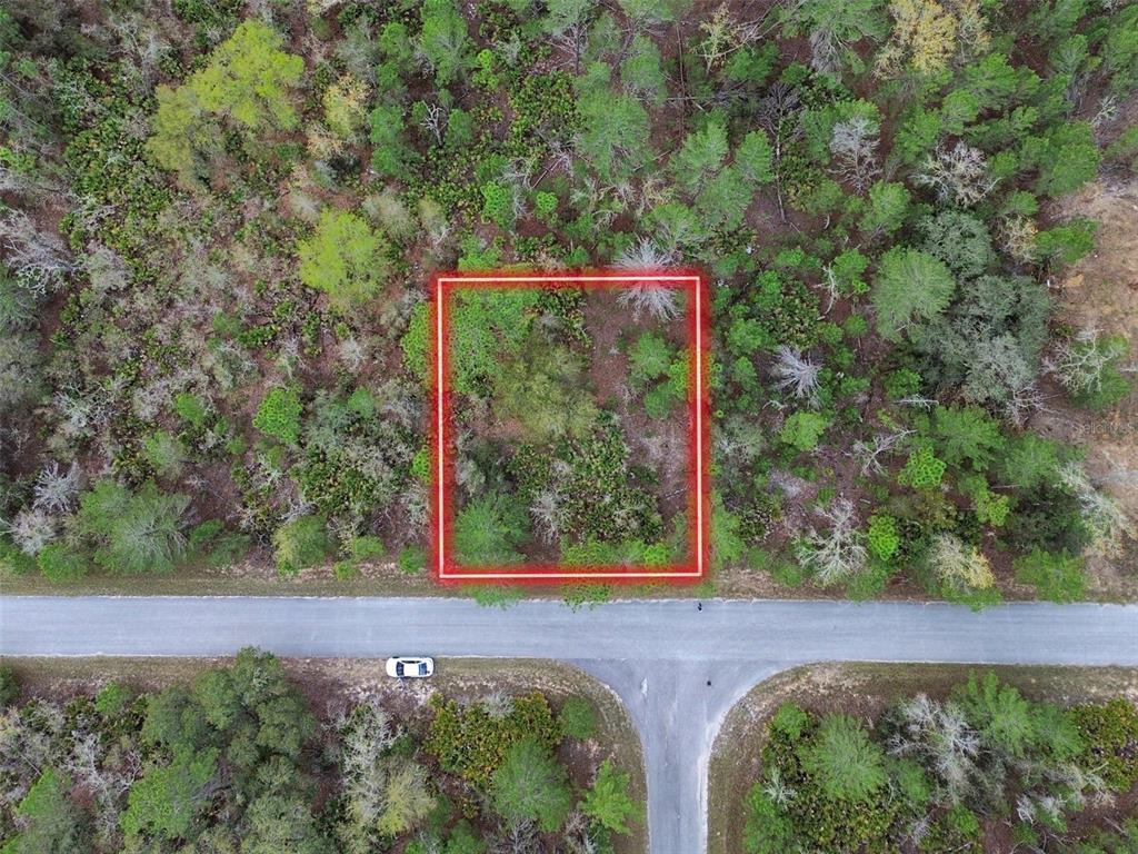 Property for sale at TBD MALAUKA LANE, OCKLAWAHA, FL, 32179