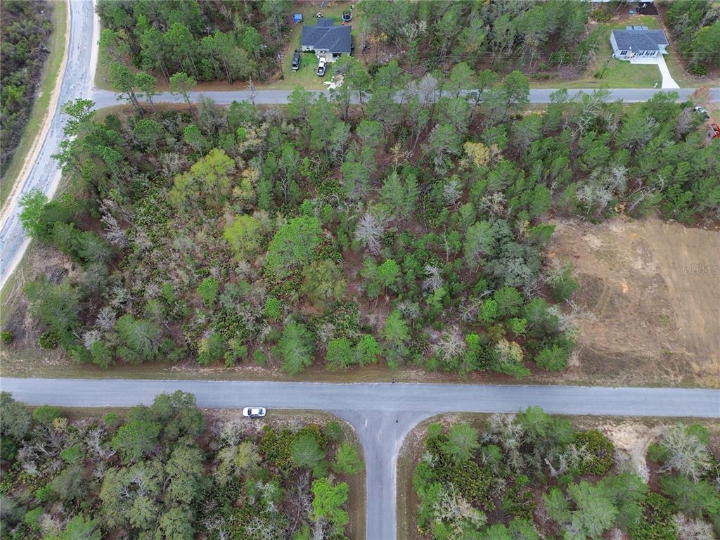 Property for sale at TBD MALAUKA LANE, OCKLAWAHA, FL, 32179