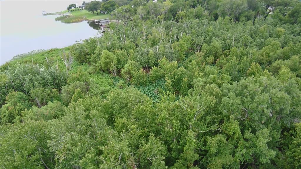 Property for sale at 0 ALFRED DRIVE E, LAKE ALFRED, FL, 33850