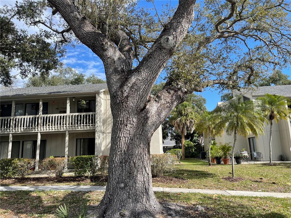 Property for sale at 2224 BAHIA VISTA STREET UNIT E6, SARASOTA, FL, 34239