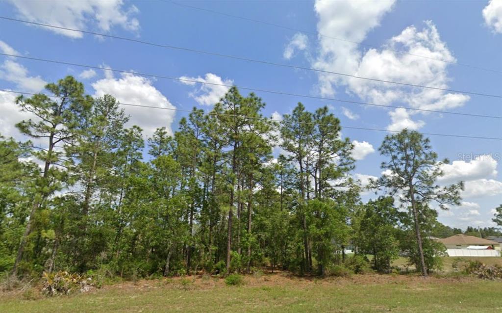 Property for sale at SW 484 HIGHWAY Lot 6, OCALA, FL, 34473