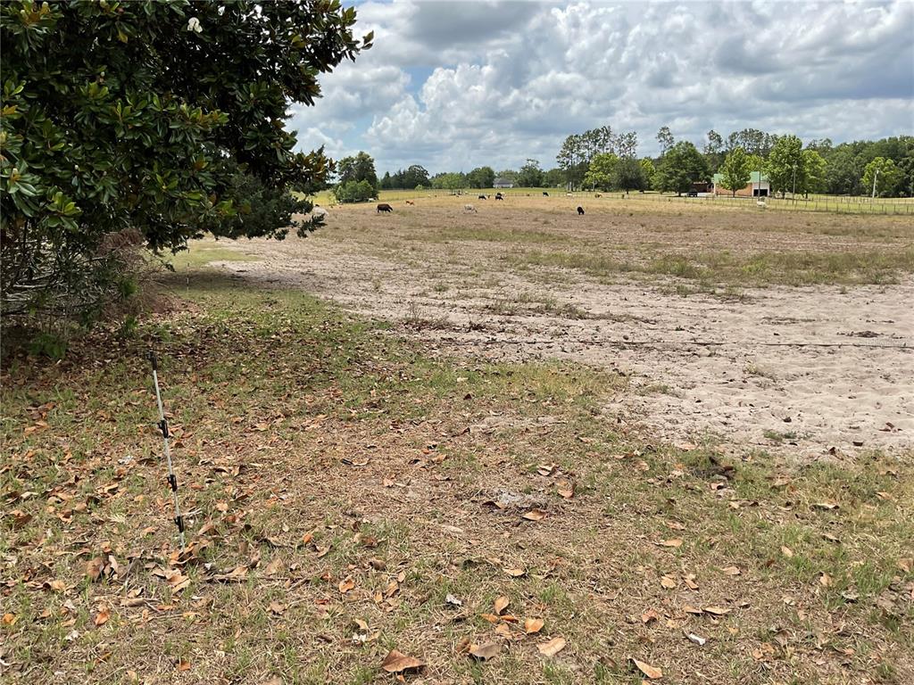 Property for sale at NE 46TH LANE, BRONSON, FL, 32621