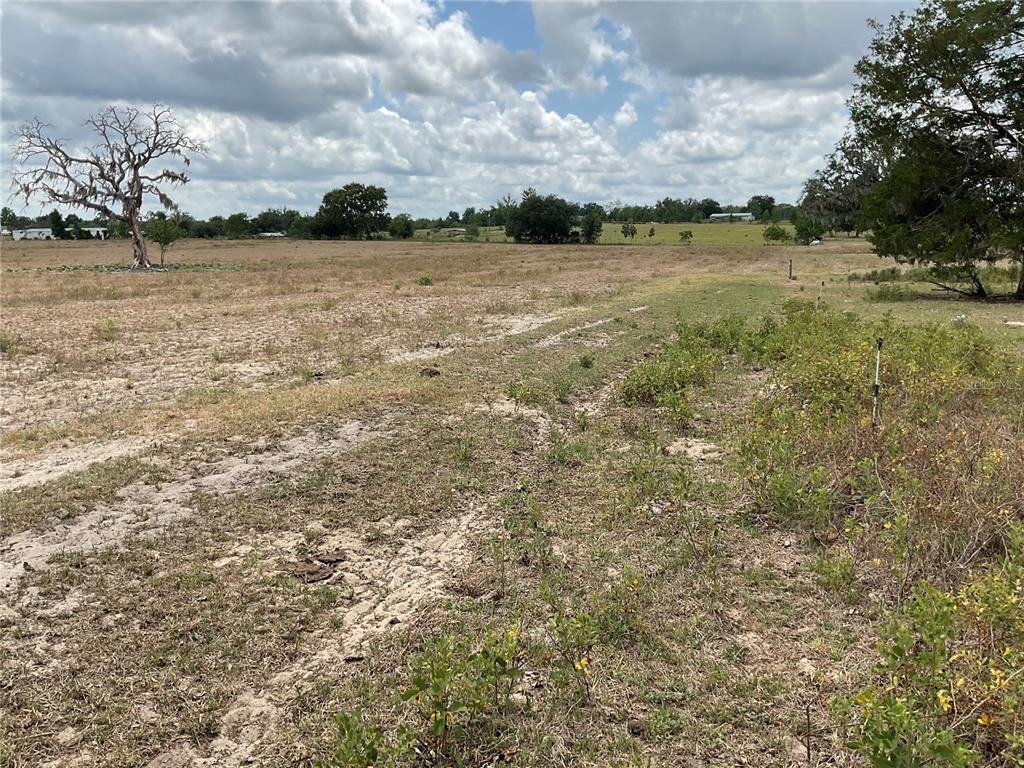 Property for sale at NE 46TH LANE, BRONSON, FL, 32621