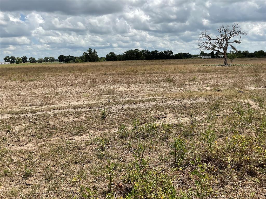 Property for sale at NE 46TH LANE, BRONSON, FL, 32621