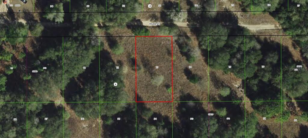 Property for sale at 2407 TYLER STREET, INVERNESS, FL, 34453