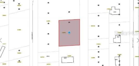 Property for sale at MARYLAND STREET, PAISLEY, FL, 32767