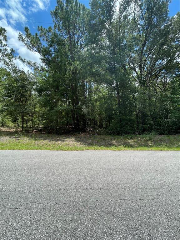 Property for sale at TBD SW 59TH LANE, DUNNELLON, FL, 34431