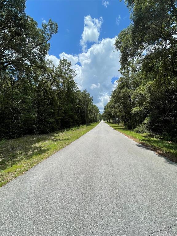 Property for sale at TBD SW 59TH LANE, DUNNELLON, FL, 34431