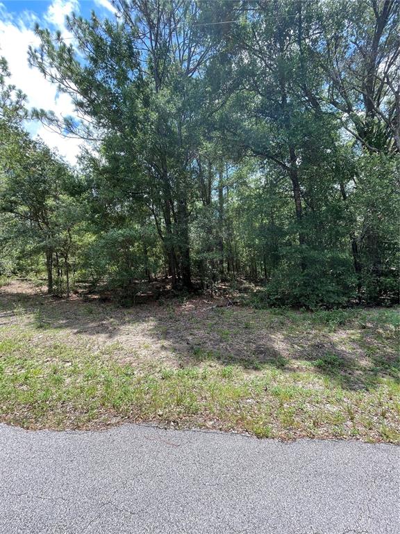 Property for sale at TBD SW 59TH LANE, DUNNELLON, FL, 34431
