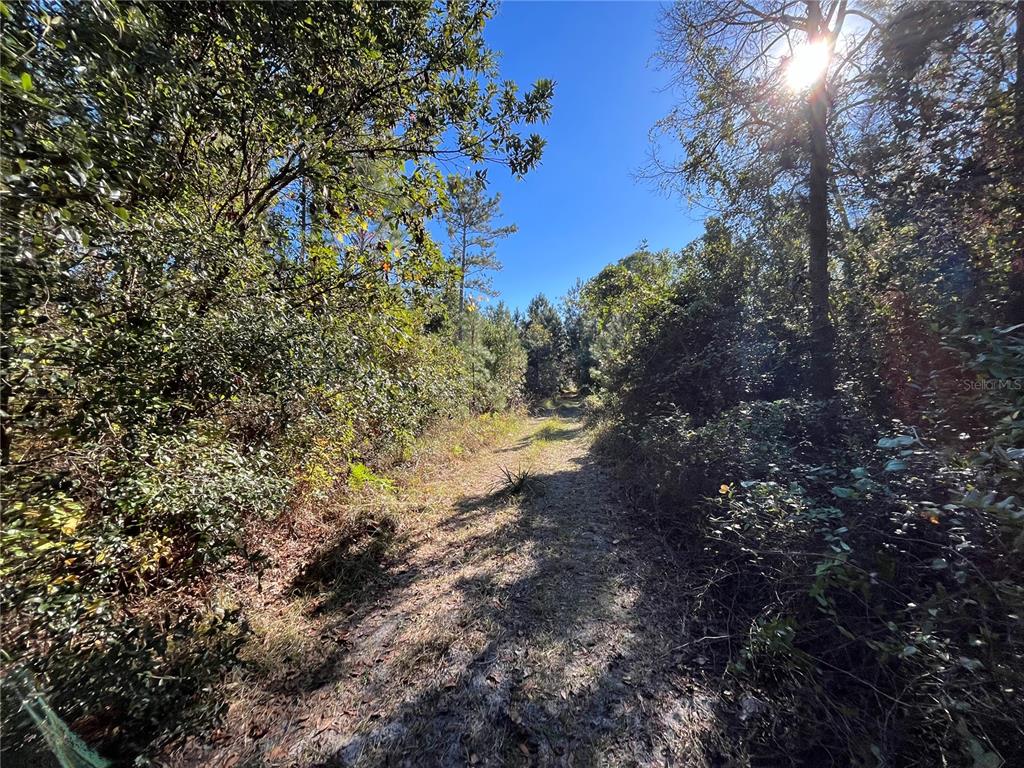 Property for sale at 223 MOURNING DOVE ROAD, SATSUMA, FL, 32189