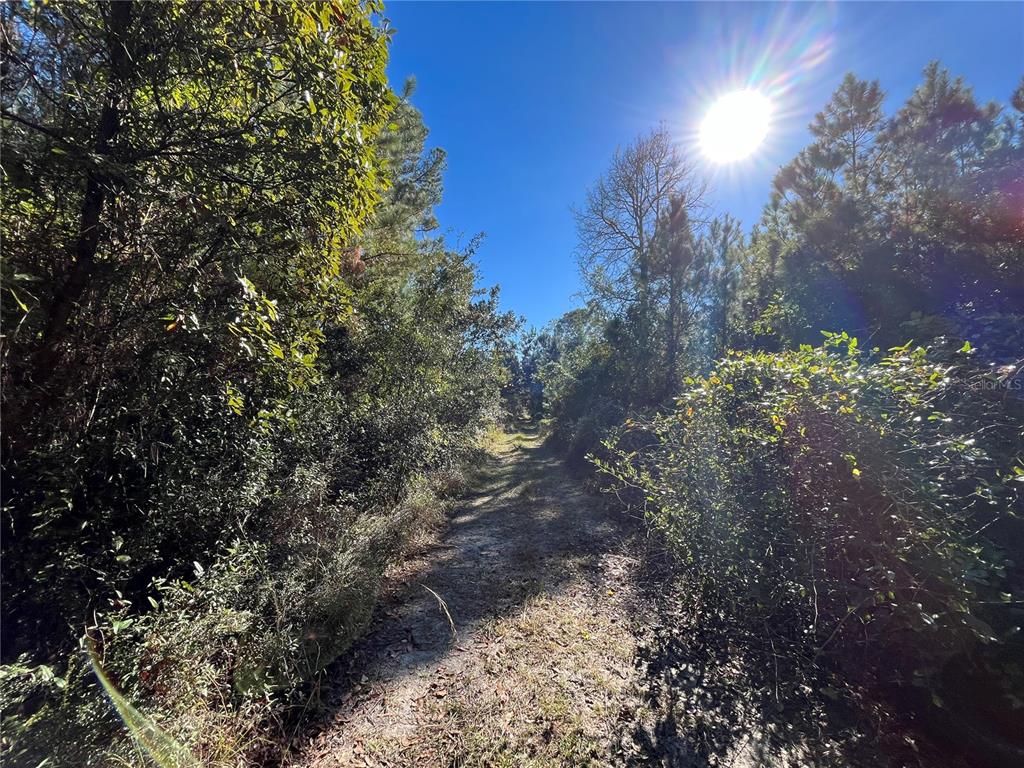 Property for sale at 223 MOURNING DOVE ROAD, SATSUMA, FL, 32189