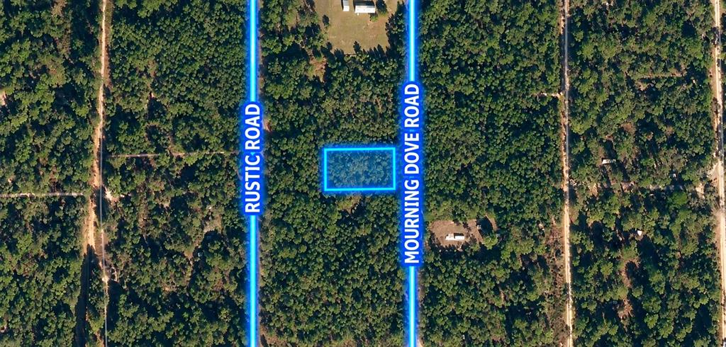 Property for sale at 223 MOURNING DOVE ROAD, SATSUMA, FL, 32189