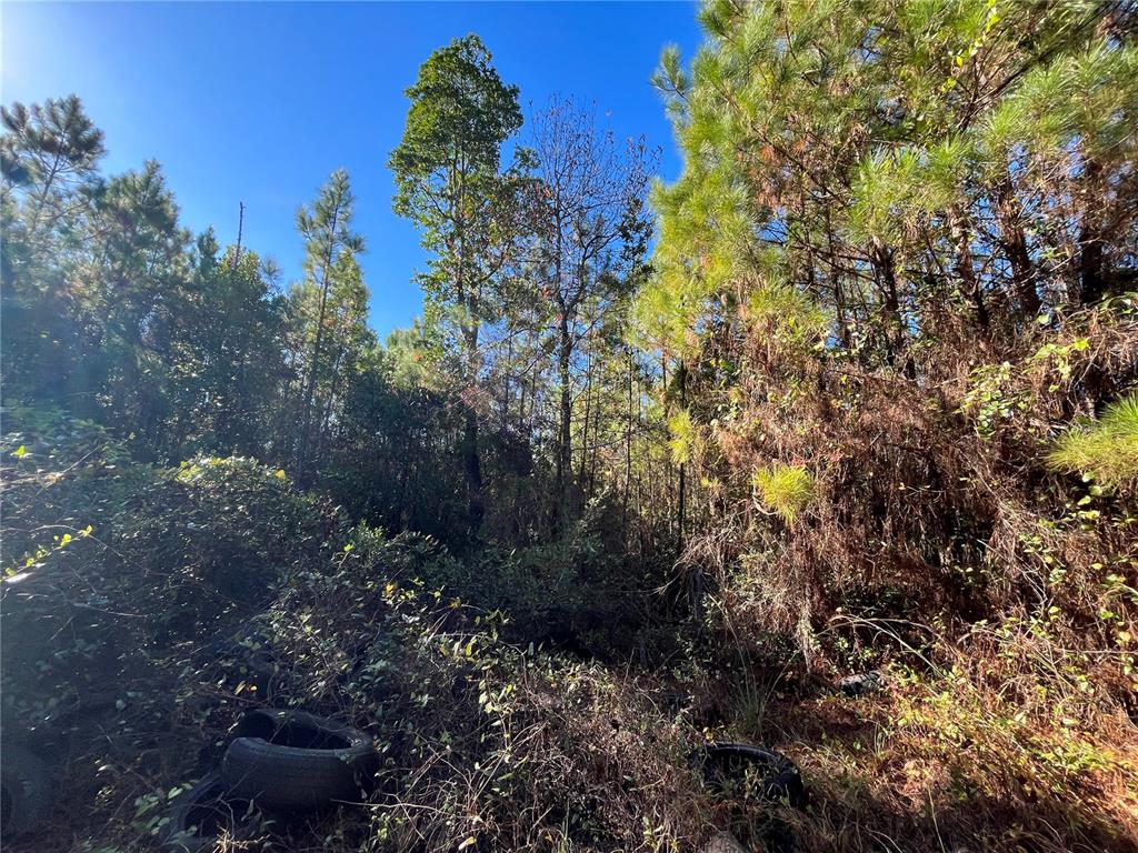 Property for sale at 223 MOURNING DOVE ROAD, SATSUMA, FL, 32189